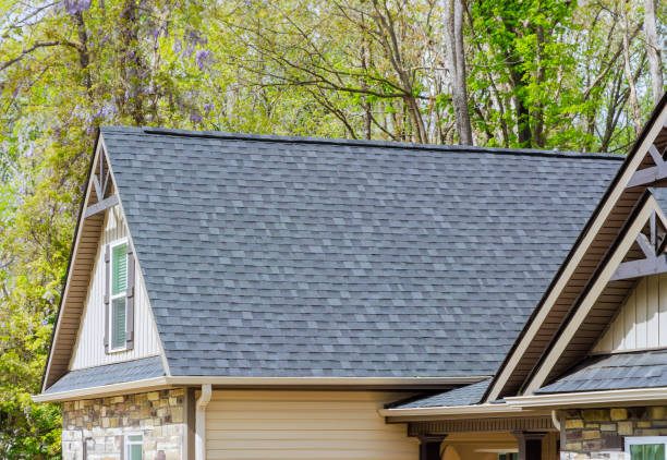 Best Gutter Installation and Repair  in North Pearsall, TX